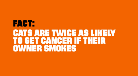 Screen Shot 2016-03-14 at 7.04.03 PM.png